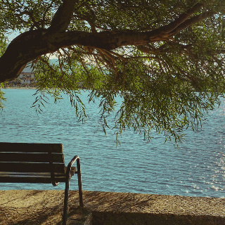 sylvia park bench